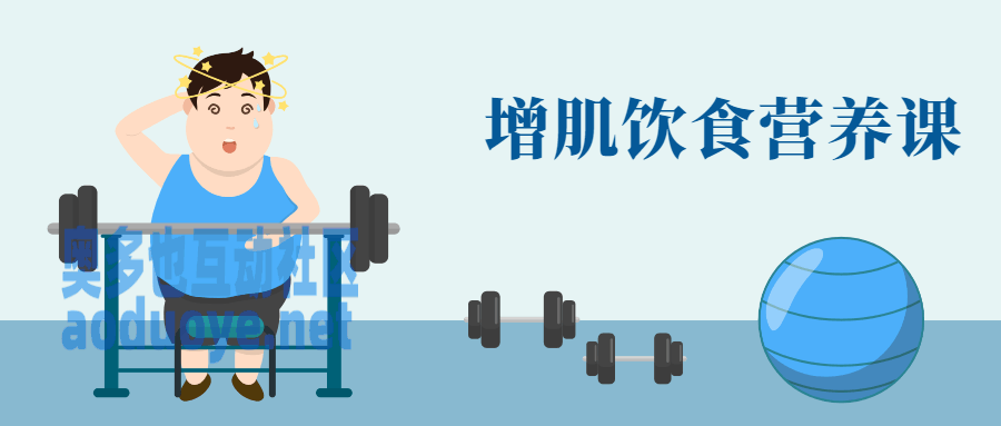 健身增肌饮食营养课-奥多也互动社区