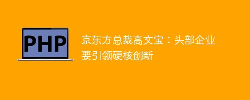 京东方总裁高文宝：头部企业要引领硬核创新-奥多也互动社区