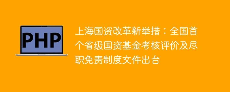 上海国资改革新举措：全国首个省级国资基金考核评价及尽职免责制度文件出台-奥多也互动社区