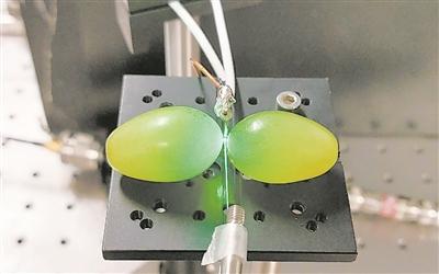 澳麦考瑞大学新研究：葡萄能提高量子传感器性能-奥多也互动社区